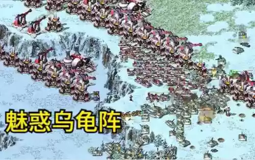 红警乌龟阵容插图1