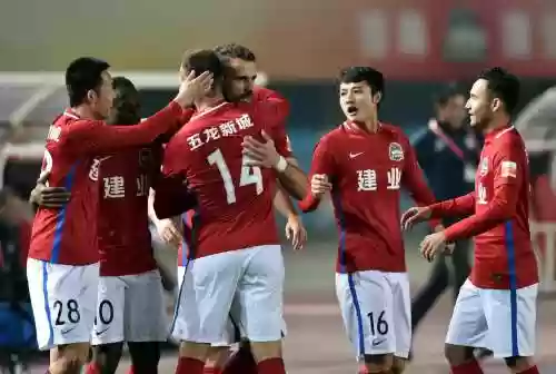 建业泰达阵容插图1