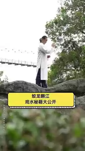 翻江倒海是什么技能插图1