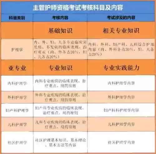 护考阵容插图