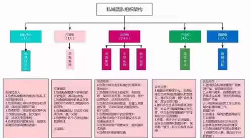 阵容运营图插图1