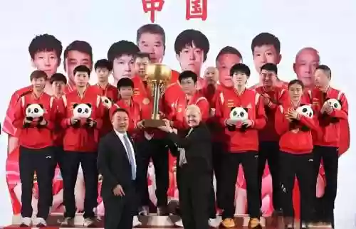 国乓阵容插图1