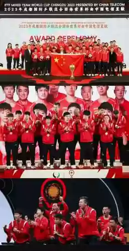 国乓阵容插图