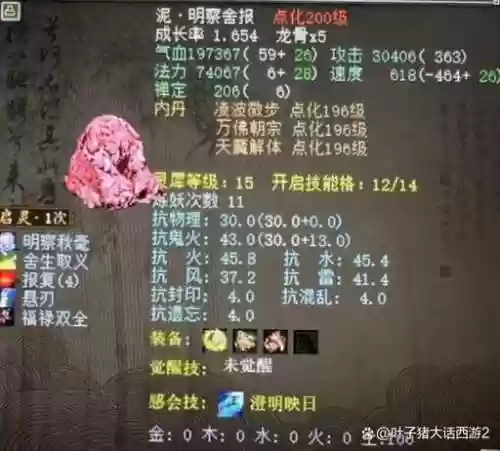 大话二敏魔满抽装备插图