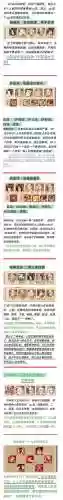 白虎的阵容搭配插图