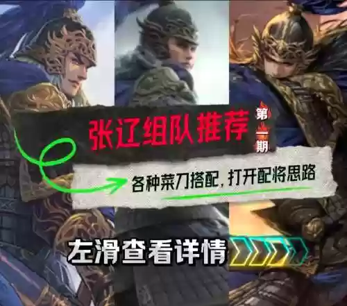 率土之滨孙策张辽搭配阵容插图