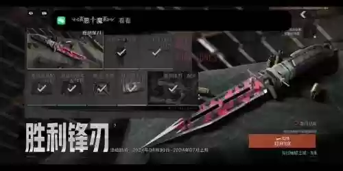 军团突袭奖励武器插图1