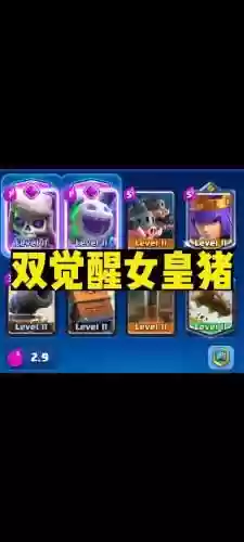 女皇猪阵容搭配插图1