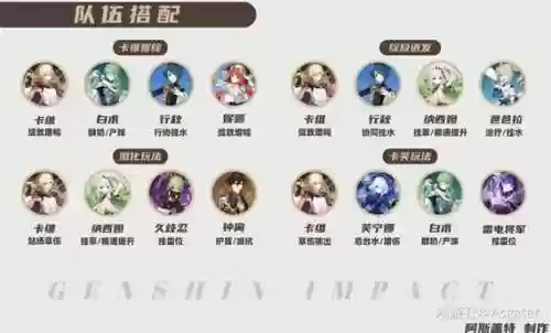 卡维阵容搭配插图