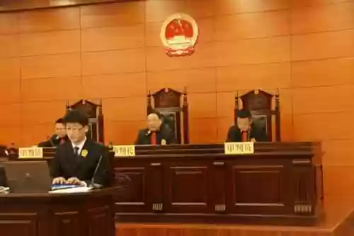 打官司阵容插图1