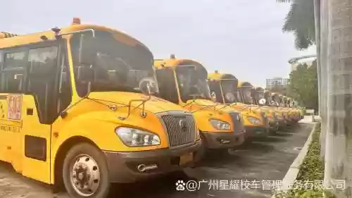 学校校车阵容插图