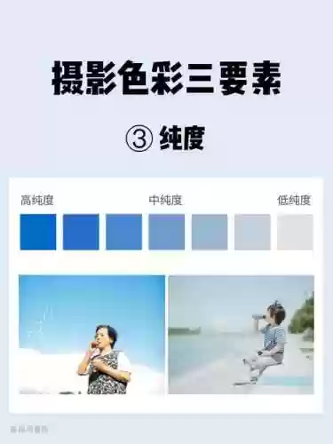 纯度高阵容插图1