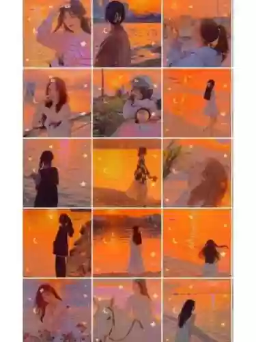 落日女阵容_1插图1