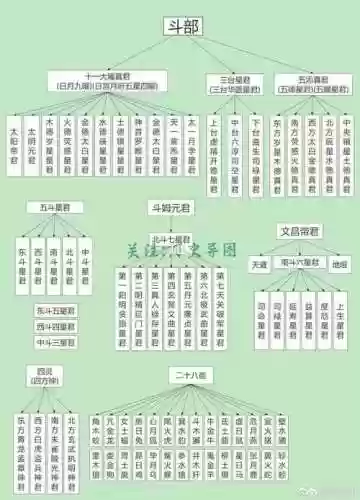 神仙医护阵容插图1