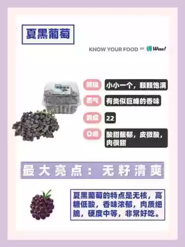 巨峰阵容插图1