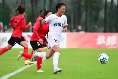 河北女足阵容_1插图1