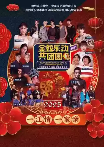 过年演唱会阵容搭配插图