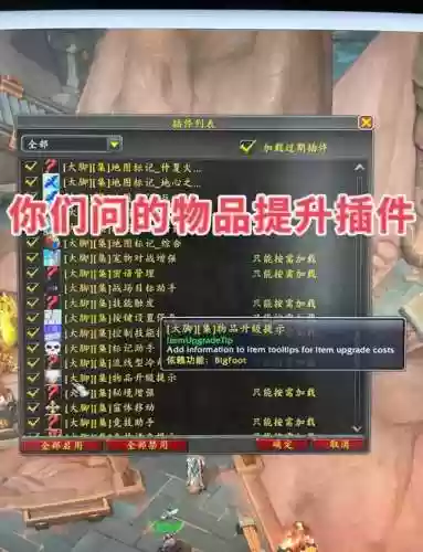 魔兽世界插件装备品质插图