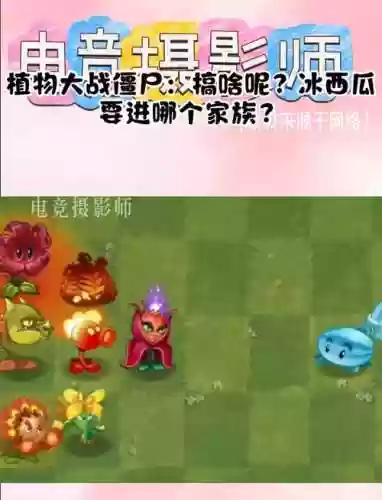汐瓜阵容插图1