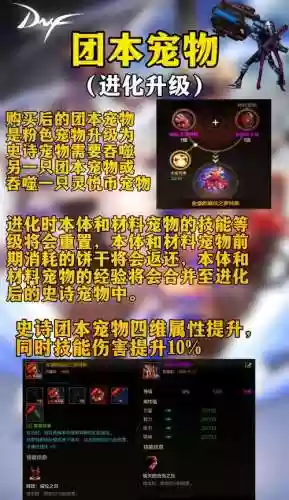 宠物装备怎样镶嵌插图1
