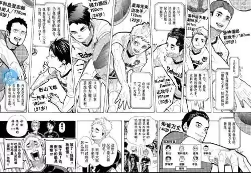ad配合阵容插图