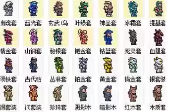 泰拉瑞亚可装备的魂_1插图1