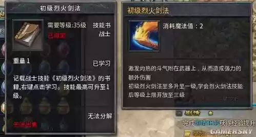 传奇永恒技能书残页_1插图1