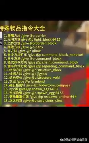 我的世界命令方块装备加属性插图