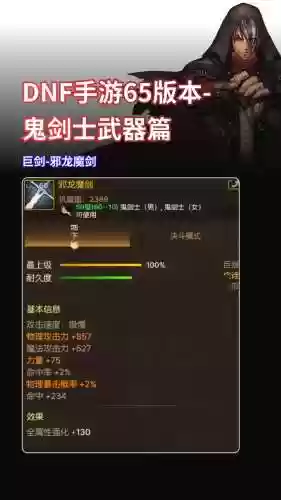 黑暗传说邪龙装备插图1