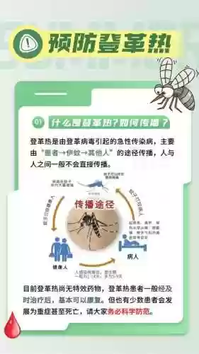 蚊子入侵阵容插图1