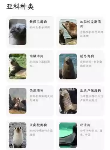 海狗阵容部落_1插图1