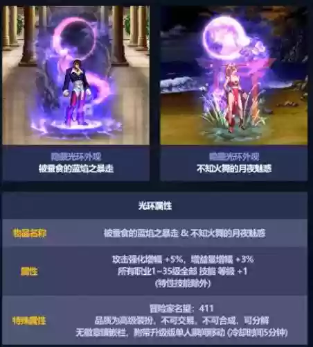 dnf有哪些光环装备加体力插图