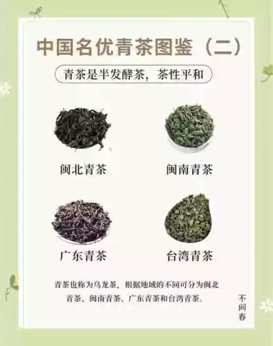 青茶阵容插图