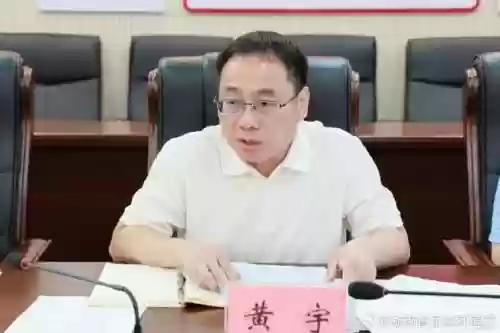 黄宇阵容插图