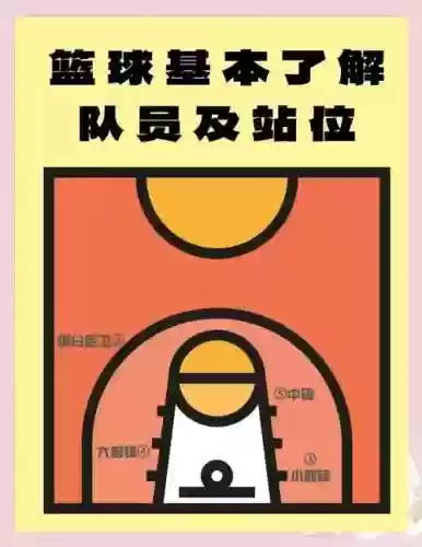 篮球阵容划分插图1