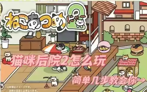 猫咪的后院新手攻略插图1