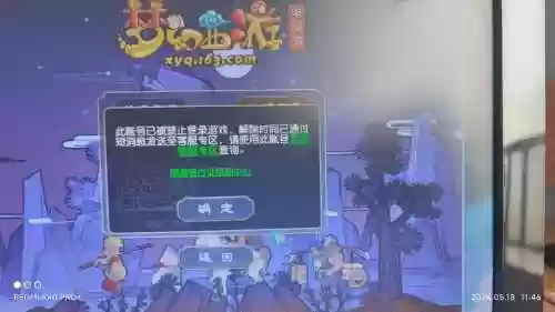梦幻西游错误操作太多插图