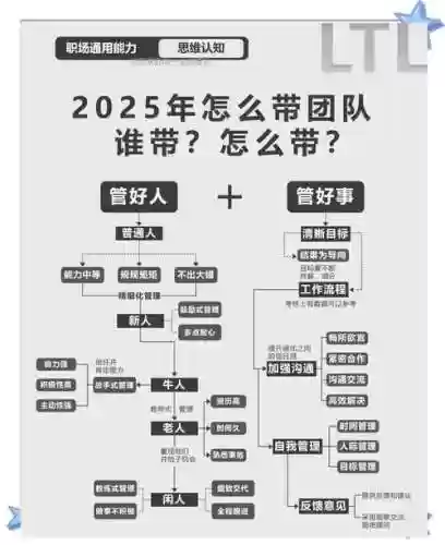 团队运营阵容插图1