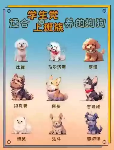 拯救狗狗阵容搭配_1插图1