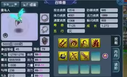 梦幻西游天生技能多的宠物插图