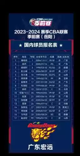 岳阳季前赛阵容插图