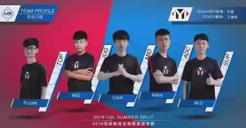 ym阵容最强插图