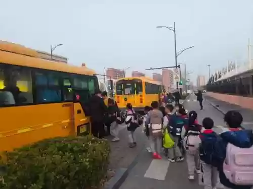 学校校车阵容插图1