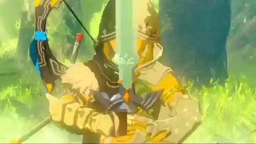 荒野之息拍照拔武器插图