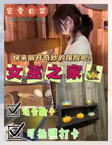 女巫房子逃脱攻略插图1