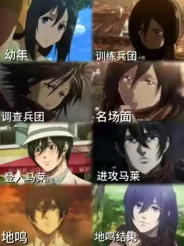 三笠阵容搭配插图