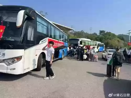 大巴排队阵容插图1