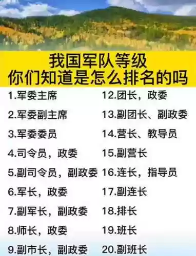 军队阵容分级插图