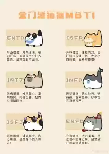 魔道猫咪阵容插图
