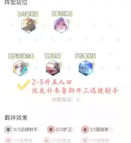 新龙神阵容插图1